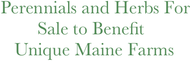     Perennials and Herbs For                                   
            Sale to Benefit
       Unique Maine Farms