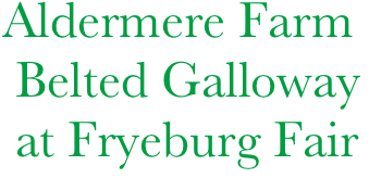    Aldermere Farm
    Belted Galloway
    at Fryeburg Fair