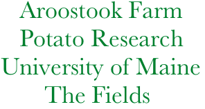    Aroostook Farm
   Potato Research
University of Maine
       The Fields