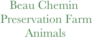    Beau Chemin 
Preservation Farm
        Animals