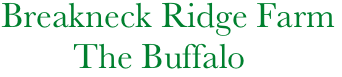     Breakneck Ridge Farm
            The Buffalo