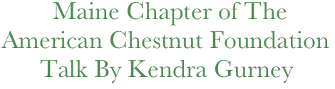           Maine Chapter of The 
  American Chestnut Foundation
        Talk By Kendra Gurney