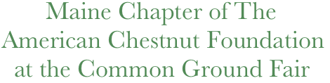          Maine Chapter of The 
  American Chestnut Foundation
    at the Common Ground Fair