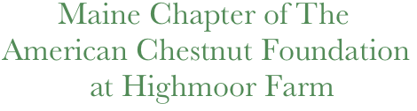          Maine Chapter of The 
  American Chestnut Foundation
             at Highmoor Farm