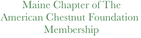           Maine Chapter of The 
  American Chestnut Foundation
                  Membership