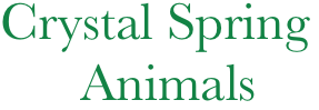 Crystal Spring    
      Animals