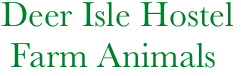        Deer Isle Hostel
        Farm Animals