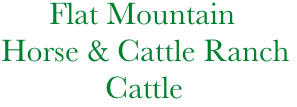              Flat Mountain
       Horse & Cattle Ranch
                    Cattle