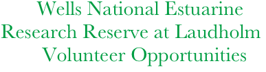       Wells National Estuarine 
Research Reserve at Laudholm
        Volunteer Opportunities