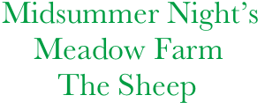   Midsummer Night’s
      Meadow Farm
         The Sheep