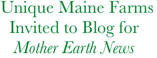      Unique Maine Farms
       Invited to Blog for
        Mother Earth News

