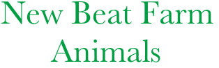 New Beat Farm
      Animals