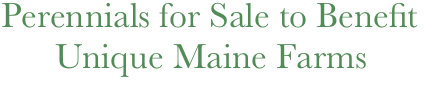   Perennials for Sale to Benefit
        Unique Maine Farms