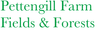 Pettengill Farm
Fields & Forests