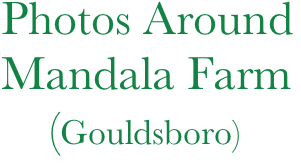   Photos Around
  Mandala Farm 
      (Gouldsboro)