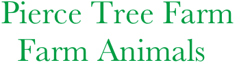 Pierce Tree Farm
  Farm Animals