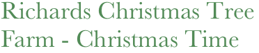 Richards Christmas Tree Farm - Christmas Time