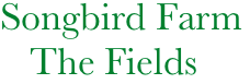           Songbird Farm
             The Fields