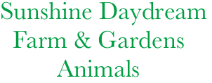       Sunshine Daydream
        Farm & Gardens
               Animals