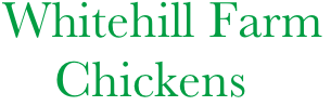  Whitehill Farm
     Chickens