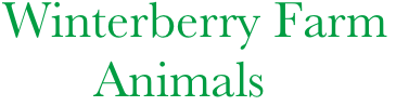 Winterberry Farm 
       Animals 
  