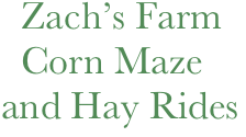   Zach’s Farm
  Corn Maze and Hay Rides