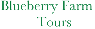 Blueberry Farm    
          Tours