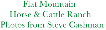              Flat Mountain
       Horse & Cattle Ranch
   Photos from Steve Cashman