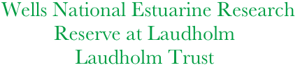 Wells National Estuarine Research  
          Reserve at Laudholm 
              Laudholm Trust