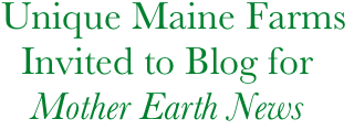      Unique Maine Farms
       Invited to Blog for
        Mother Earth News
